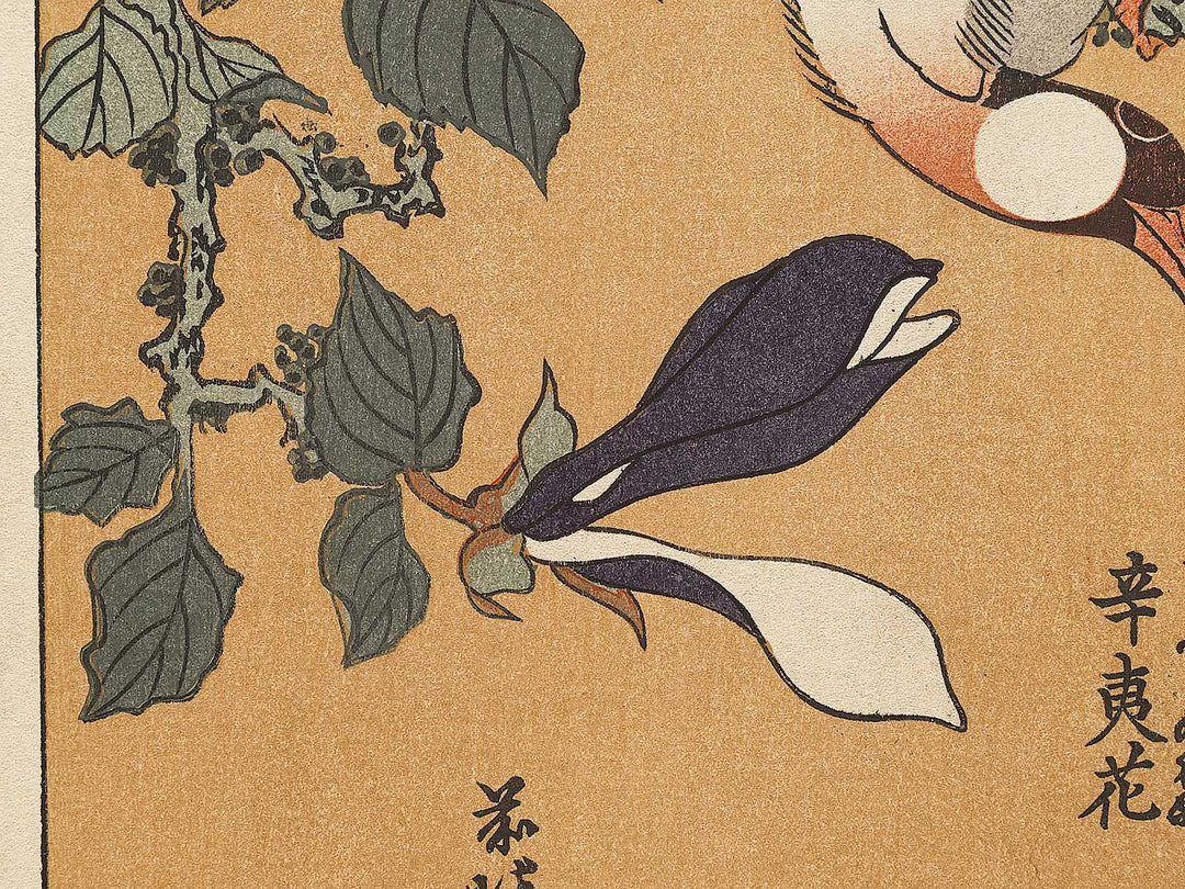 Buncho kobushi no hana by Katsushika Hokusai, (Large print size) / BJ331-674