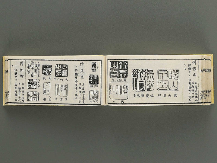 Shoga hikkei meika zensho Volume 5 / BJ348-628
