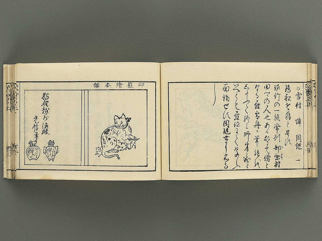 Iitogusa (Jo) / BJ343-224