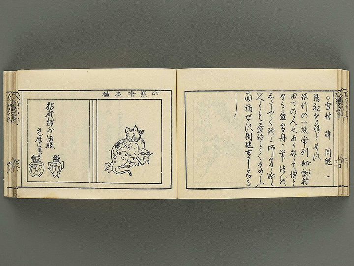 Iitogusa (Jo) / BJ343-224