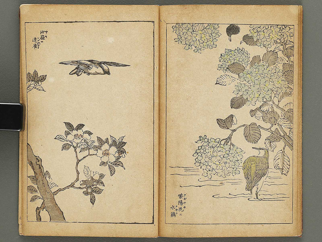 Kacho gafu by Adachi Ginko / BJ333-438