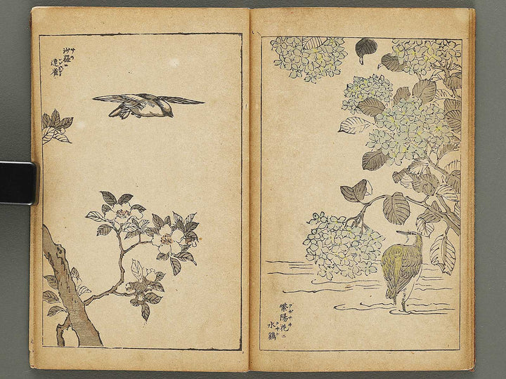 Kacho gafu by Adachi Ginko / BJ333-438