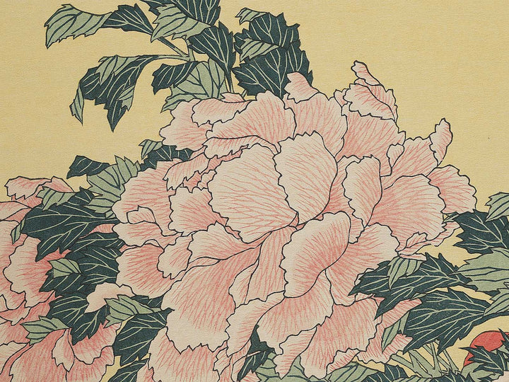 Botan ni cho by Katsushika Hokusai, (Large print size) / BJ343-777
