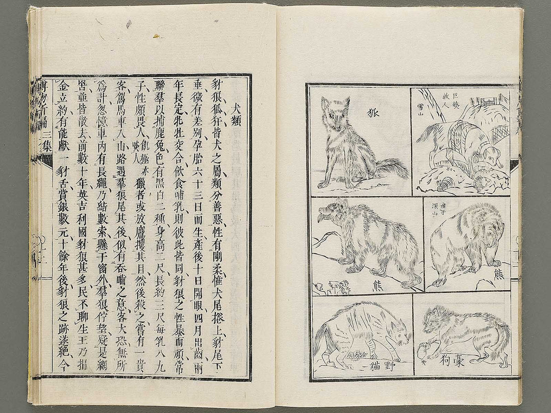 Hakubutsu Shinpen Volume 3 / BJ335-412