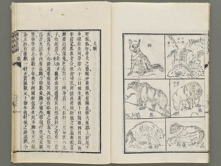 Hakubutsu Shinpen Volume 3 / BJ335-412