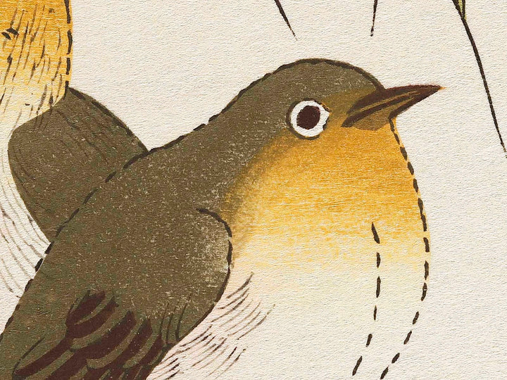 Long tailed Tit and White-eyes from the series Momochidori kyokaawase by Kitagawa Utamaro, (Large print size) / BJ328-006