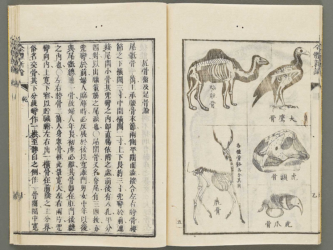 Zentai shinron Ken (Part 1 of 2) / BJ325-346