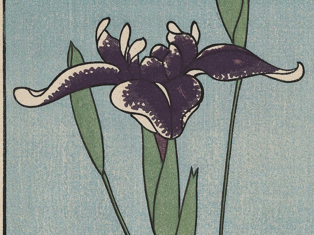 Horikiri Iris Garden from the series One Hundred Famous Views of Edo by Utagawa Hiroshige, (Large print size) / BJ318-458