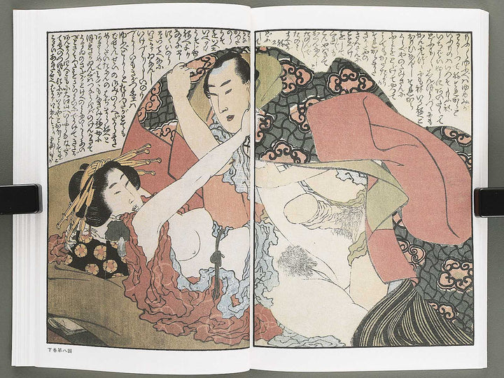 Ezoshi Konoe no komatsu Volume 3 by Katsushika Hokusai / BJ346-437