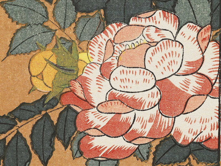 Kocho bara by Katsushika Hokusai, (Large print size) / BJ331-660
