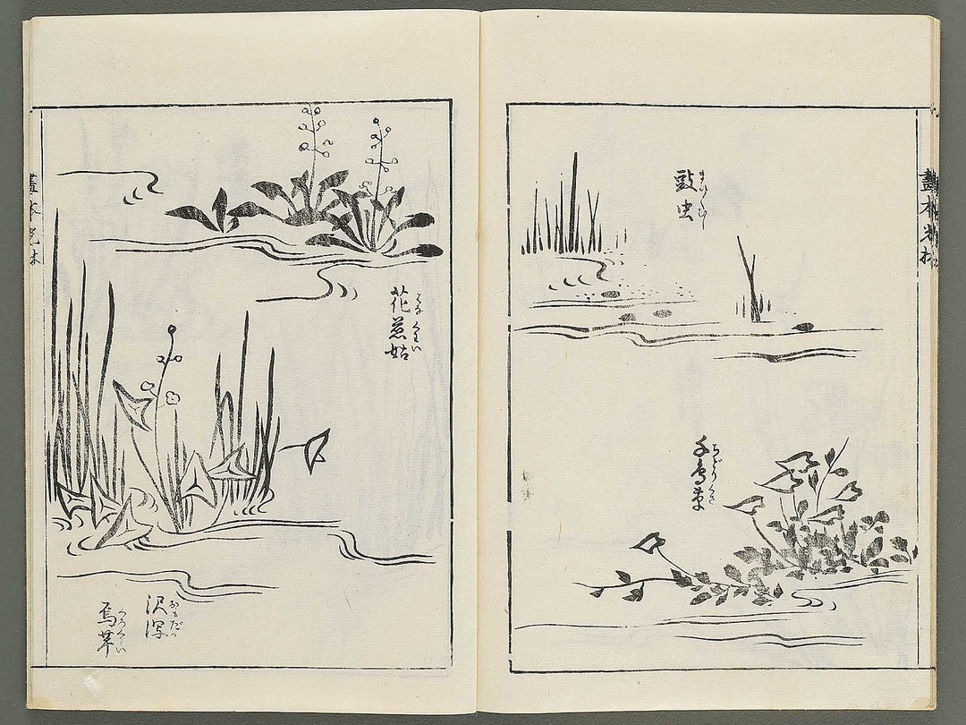 Korin michishirube by Nonomura Chube / BJ351-141