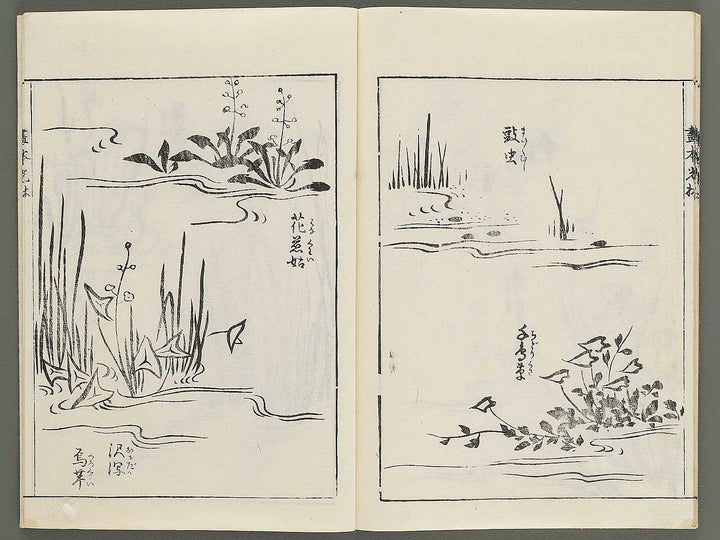 Korin michishirube by Nonomura Chube / BJ351-141