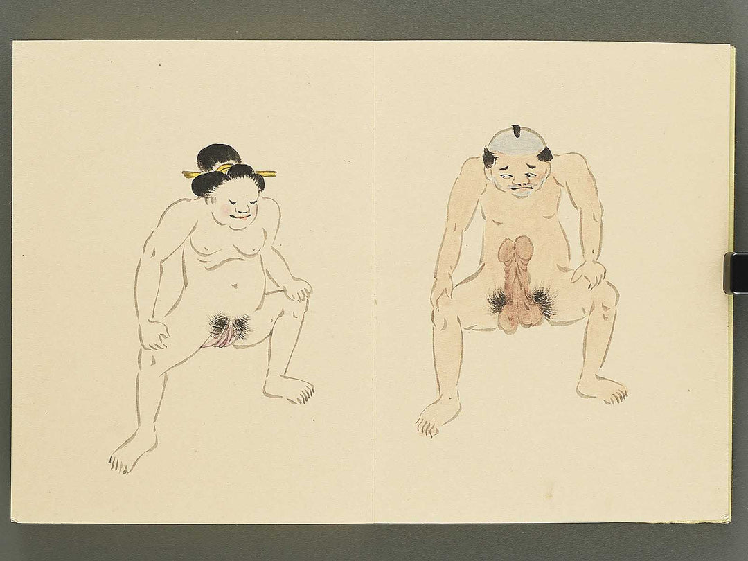 Shunga / BJ350-525