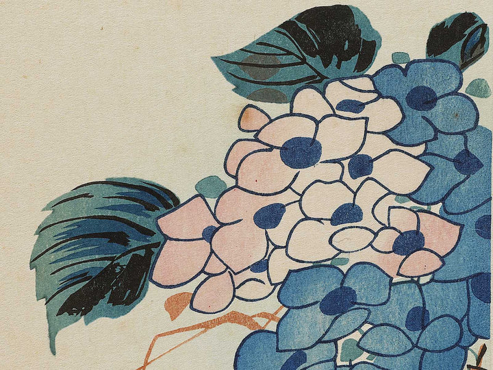 Hydrangea glue cicada by Utagawa Hiroshige, (Medium print size) / BJ328-153