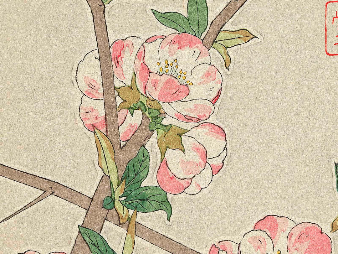 Boke by Kawarazaki Shodo, (Large print size) / BJ346-255