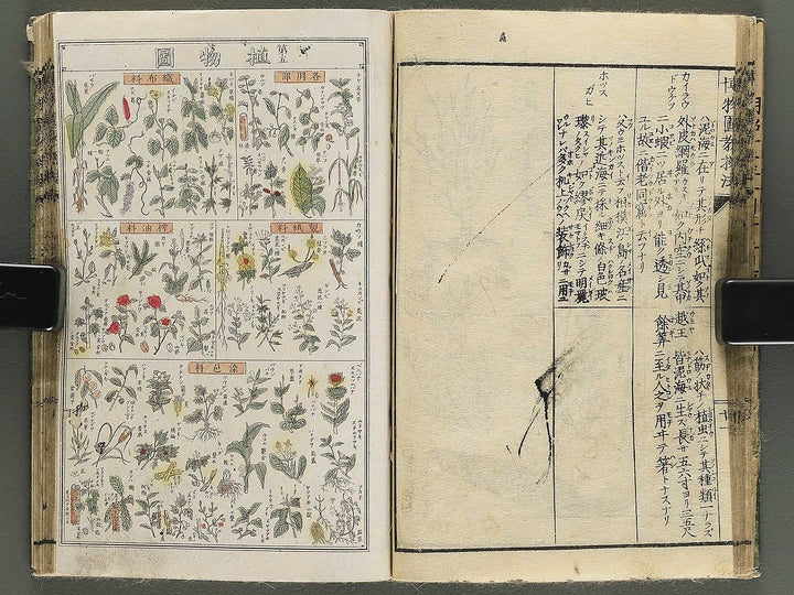 Hakubutsu kyojyuho Volume 4-5 by           / BJ344-729
