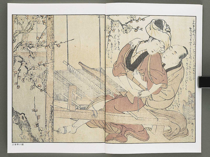 Ezoshi Enpon takaragura Volume 11 by Kitagawa Utamaro / BJ346-444