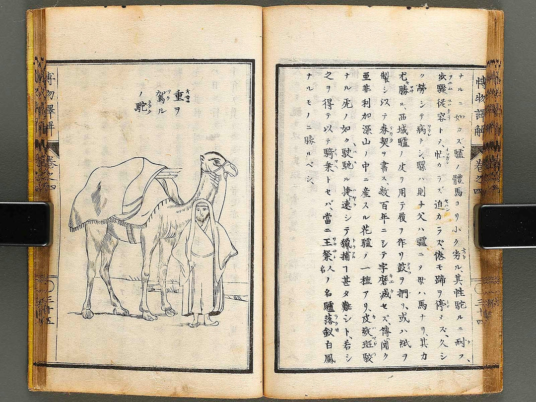 Hakubutsu shinpen yakkai Volume 4 / BJ326-879