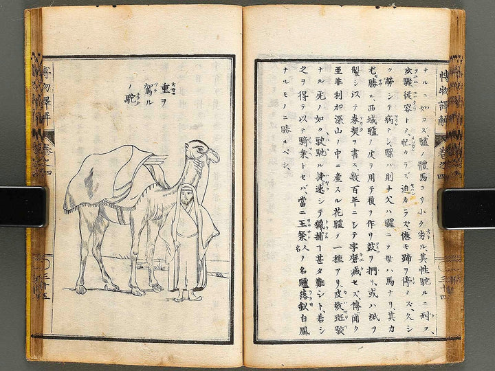 Hakubutsu shinpen yakkai Volume 4 / BJ326-879