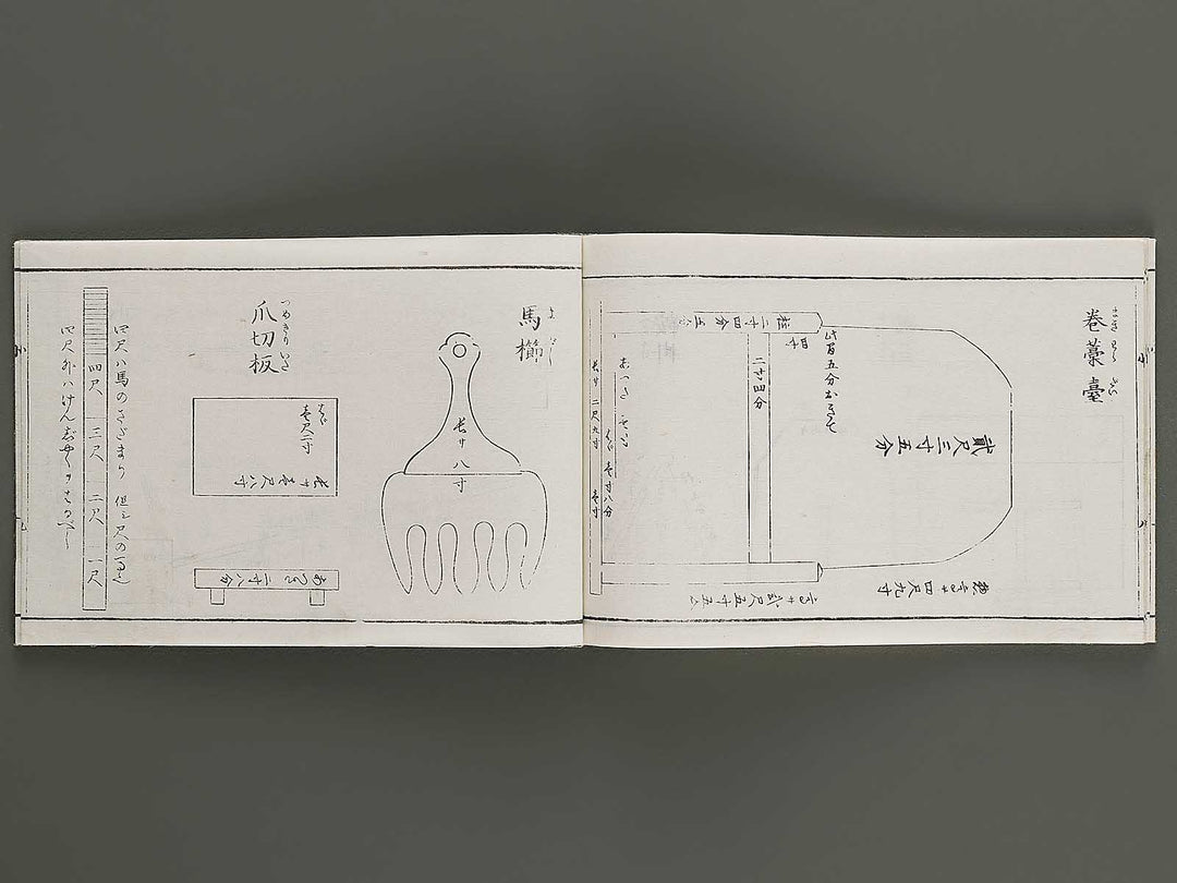 Kotsubo kiku / BJ327-775