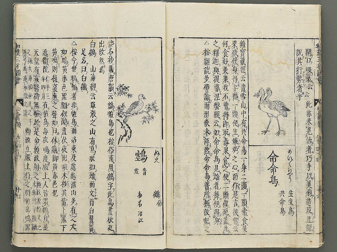 Wakan sansai zue Volume 44 / BJ349-216