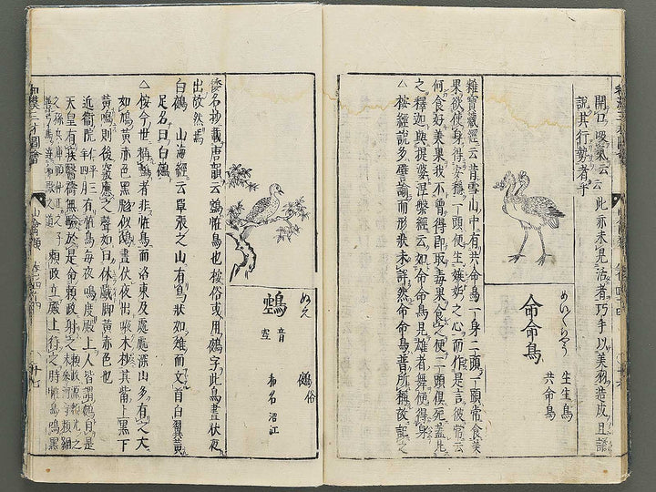 Wakan sansai zue Volume 44 / BJ349-216