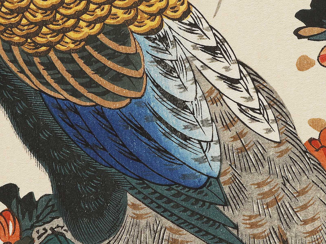 Chrysanthemum & pheasant by Utagawa Hiroshige, (Medium print size) / BJ328-111
