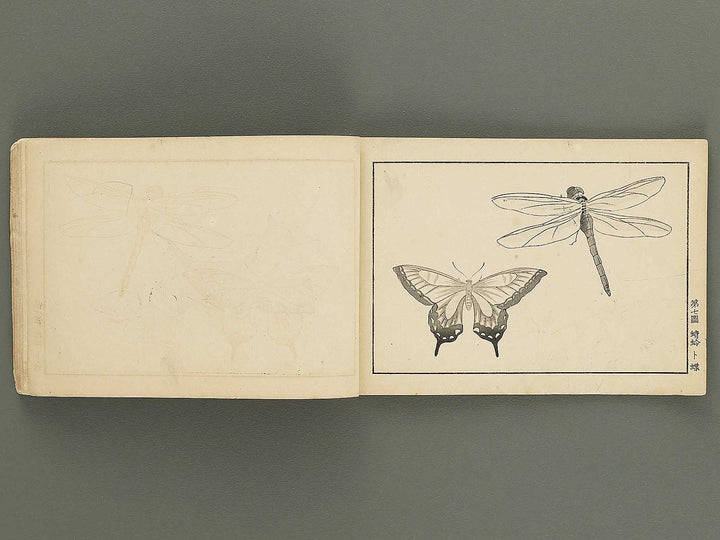 Koto shogaku mohitsuga tehon (Dai 3 gakyunen joseiyo) / BJ355-397