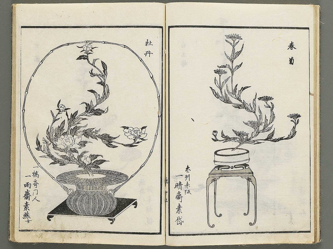 Jikei onryu ikebana chiyo no matsu / BJ342-244