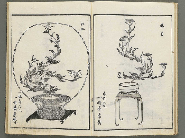 Jikei onryu ikebana chiyo no matsu / BJ342-244