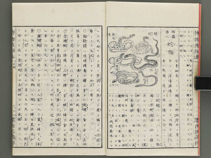 Hakubutsu kyojyuho Volume 3 / BJ341-586