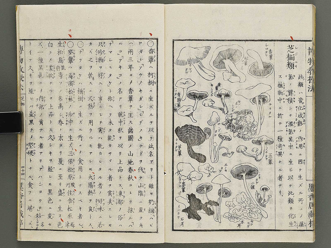 Hakubutsu kyojyuho Volume 1 / BJ341-572