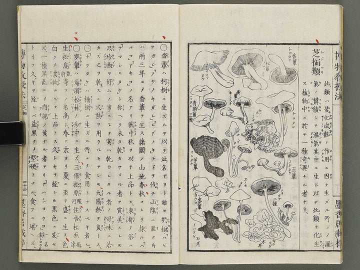 Hakubutsu kyojyuho Volume 1 / BJ341-572