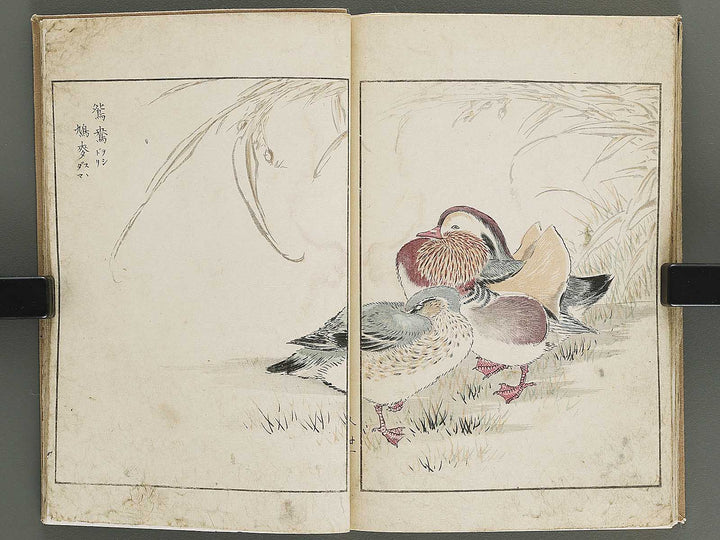 Shucho gafu (Jin) (Part 3 of 3) by Numata Kashu / BJ339-752