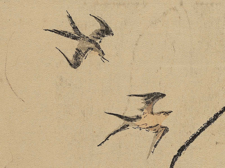Saotome by Kondo Shiun / BJ353-031