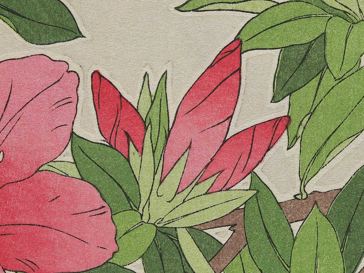 Tsutsuji by Kawarazaki Shodo, (Large print size) / BJ346-262
