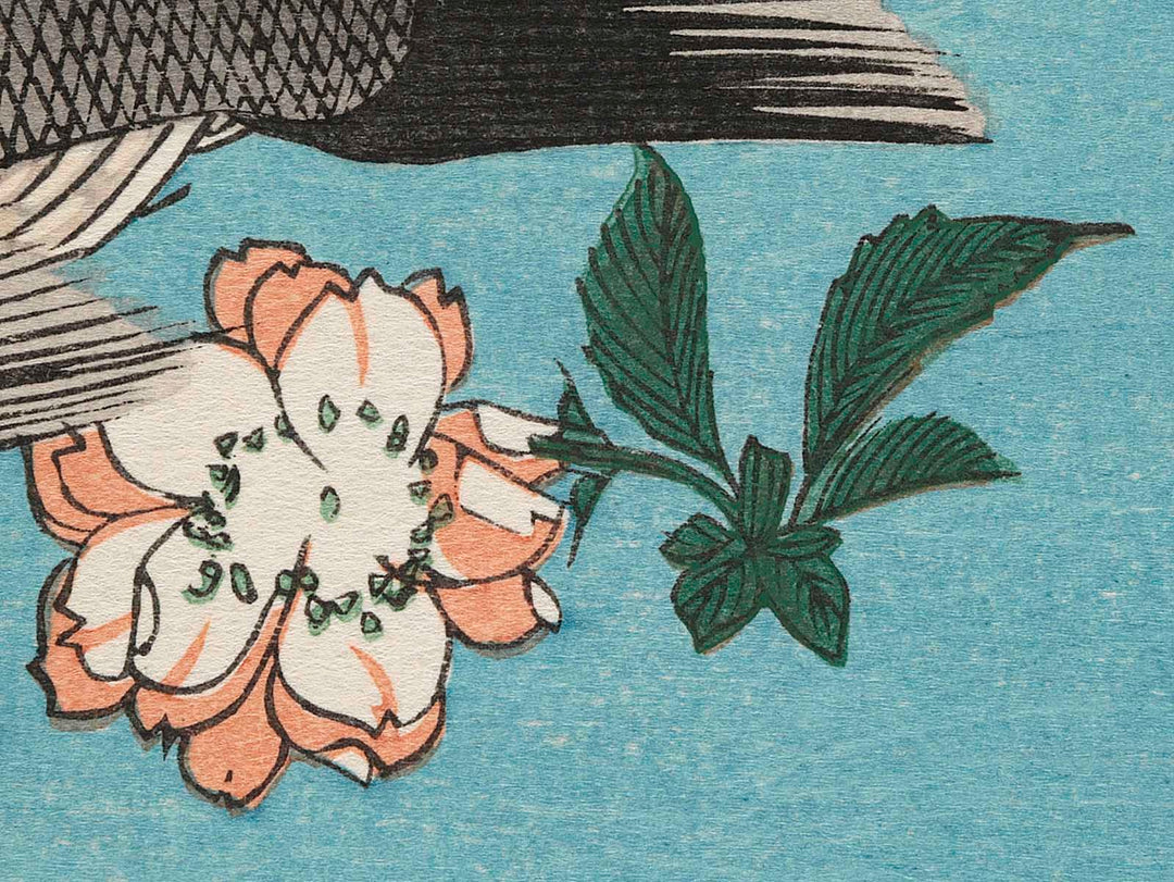 Halibut, Rockfish & Cherry Blossoms from the series the series FISH by Utagawa Hiroshige, (Large print size) / BJ237-664