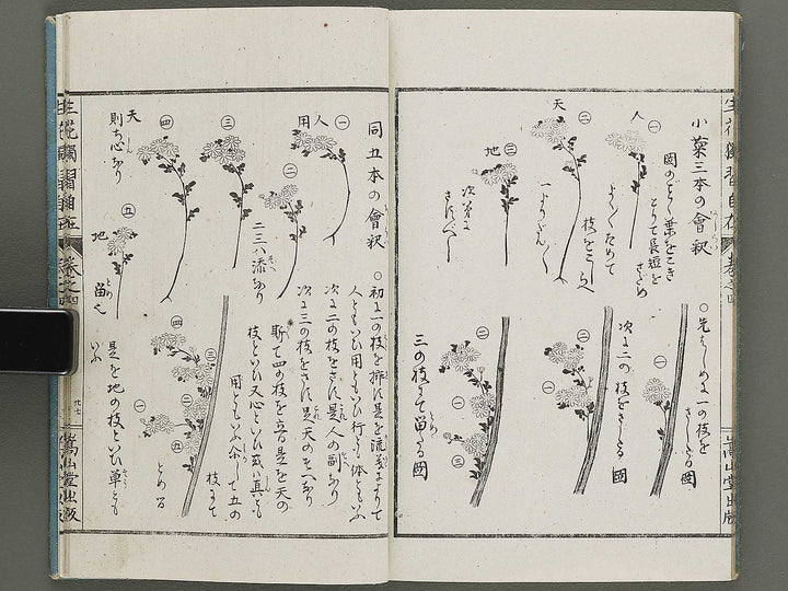 Shoryu hiden ikebana dokushu jizai Volume 4 / BJ332-759