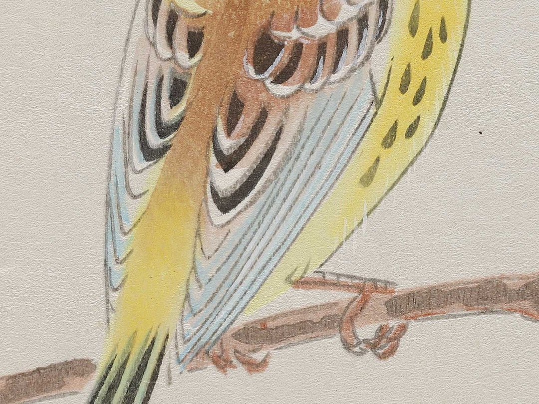 Budo ni shimaaoji by Ashikaga Shizuo, (Large print size) / BJ331-345