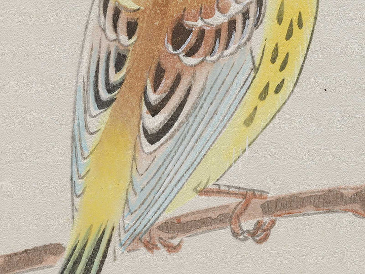 Budo ni shimaaoji by Ashikaga Shizuo, (Large print size) / BJ331-345