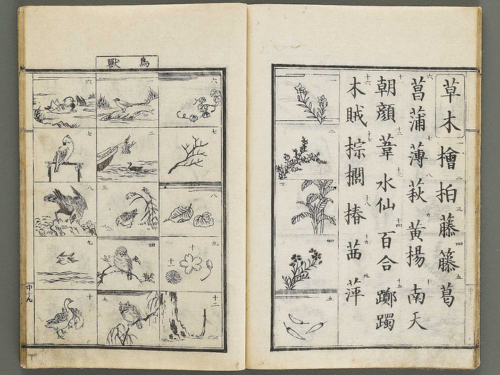 Tzngohen zushiki (Ge) / BJ323-001