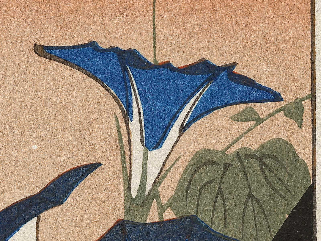 Morning Glories and Japanese Bantam by Utagawa Hiroshige, (Medium print size) / BJ309-288