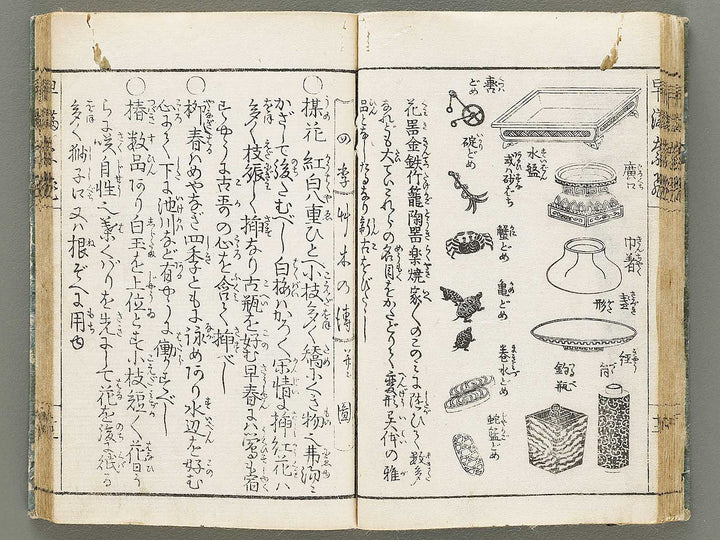 Ikebana hayamanabi / BJ331-275