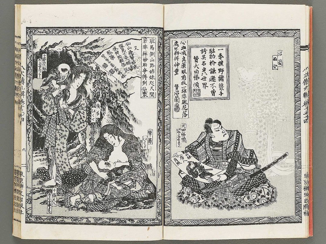 Nanso satomi hakkenden Part 9, Book 13-15 / BJ317-947