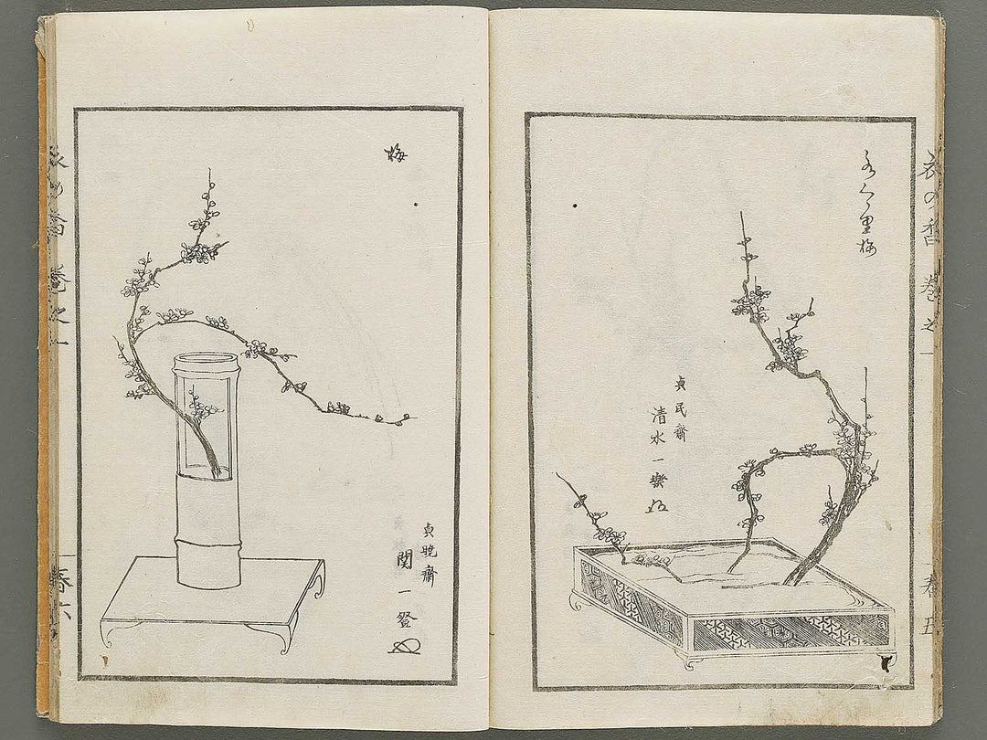 Soka koromonoka Volume 1 by Hishikawa Sori / BJ335-167