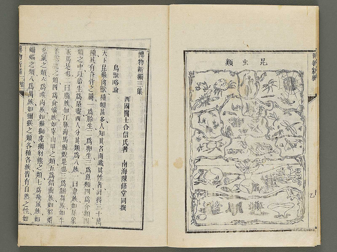 Hakubutsu Shinpen Volume 3 / BJ336-476