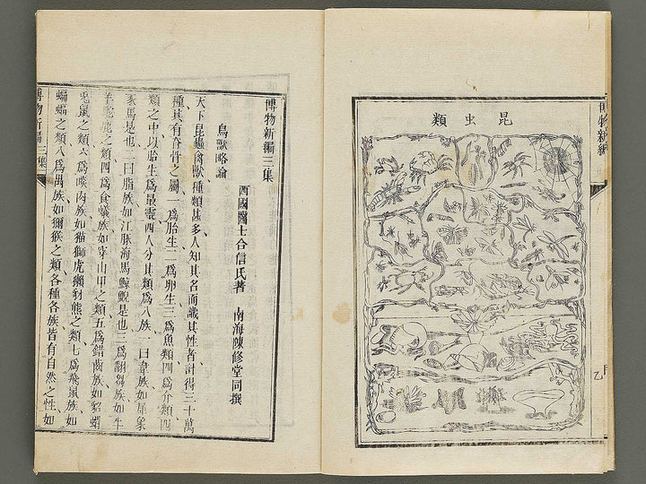 Hakubutsu Shinpen Volume 3 / BJ336-476