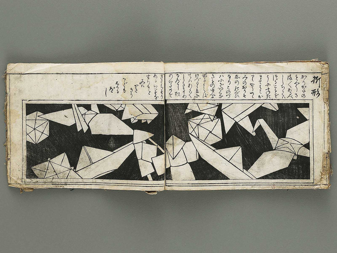 Ranma hinagata (Ge) / BJ336-056