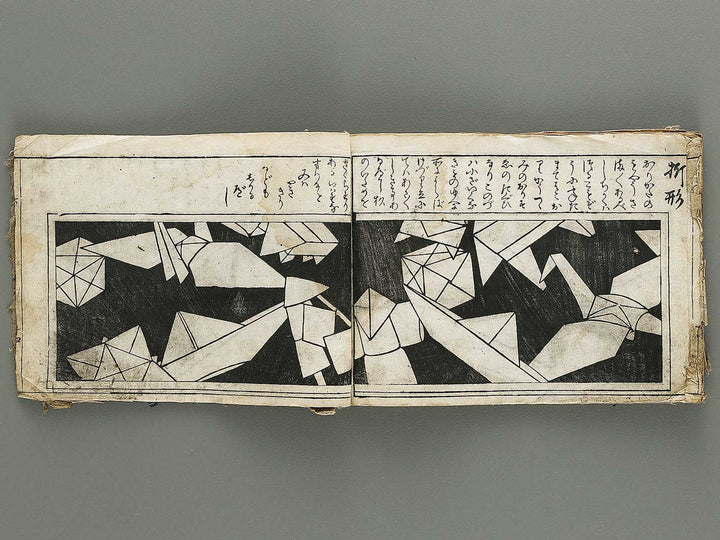 Ranma hinagata (Ge) / BJ336-056