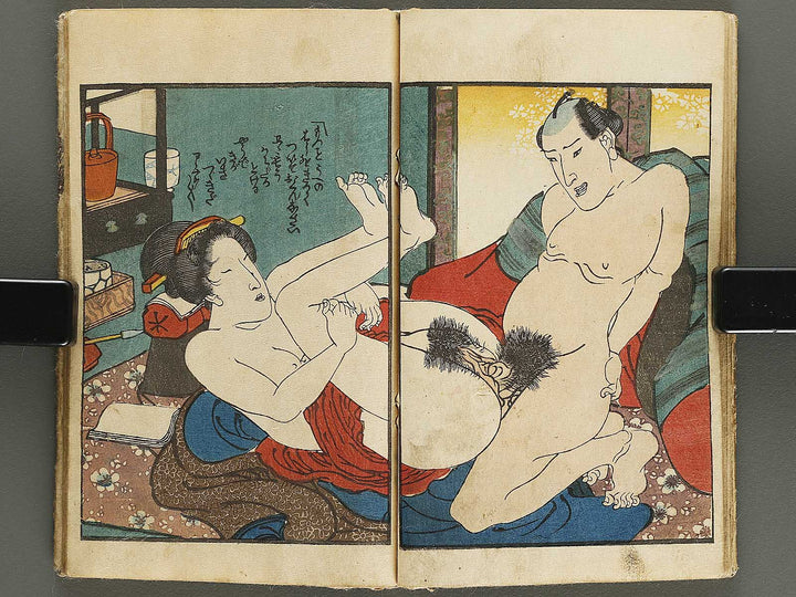 Shunjo yaezakura (Jo) by Utagawa-school / BJ328-916